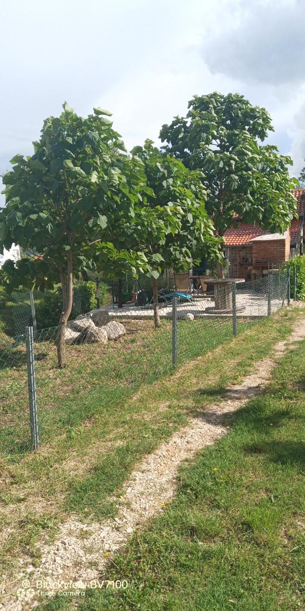 Stone House Vlasta Drniš Εξωτερικό φωτογραφία